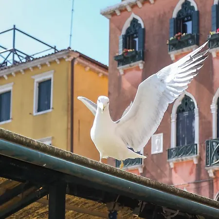 Rialto 1602 아파트